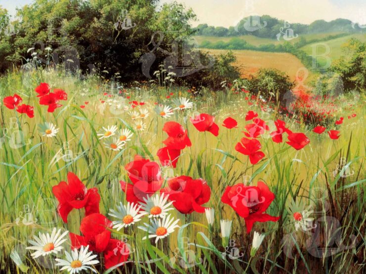 paesaggio-03