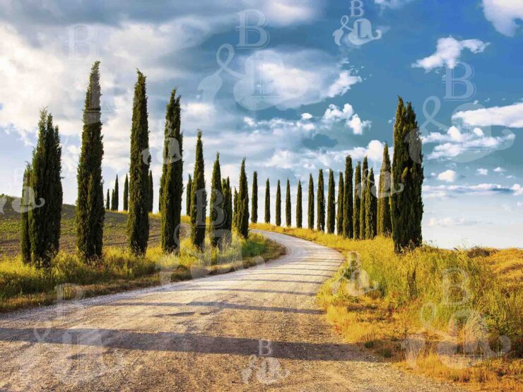 paesaggio-21